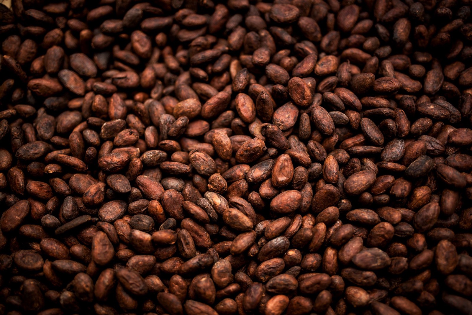 Dried beans spread out to dry